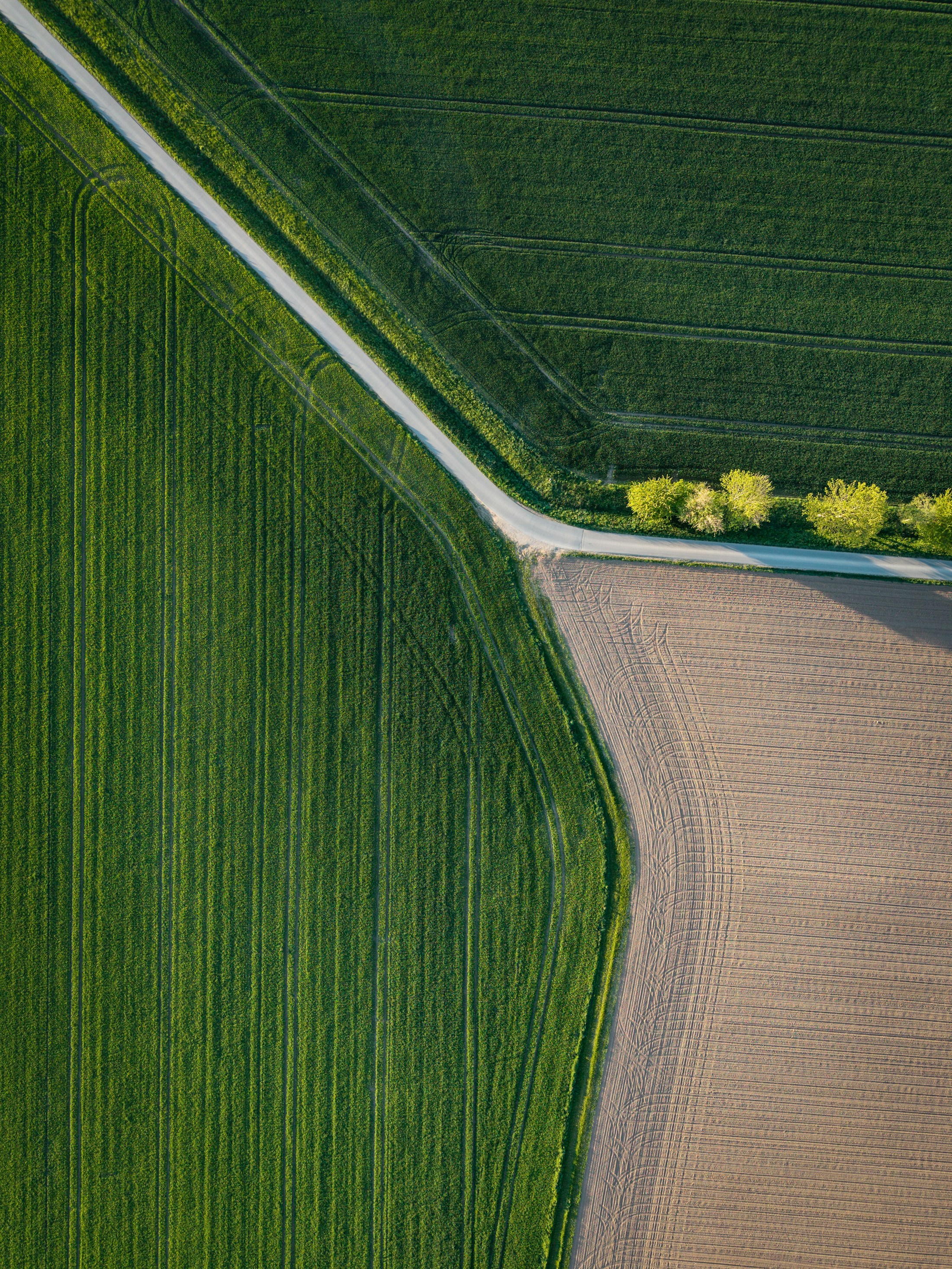 Illustrative aerial view of agricultural plots, field boundaries and a rural road